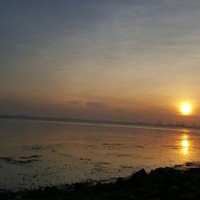 metropolis property consultants