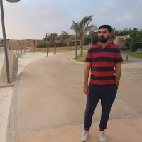 Hammad Raza
