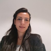 Sandi Nassar