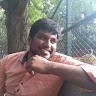 Madhu Mamidi