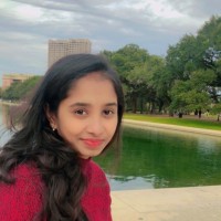 Vijaya V