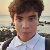 David de Menezes