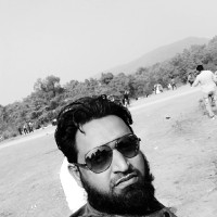Shamim Ansari