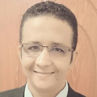 Waleed Elkhouly