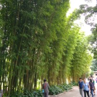 周勇超