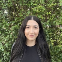 Hasstie Mirsamadi