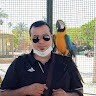 Amr Elrayes