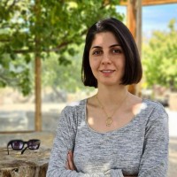 Forough Sadeghi
