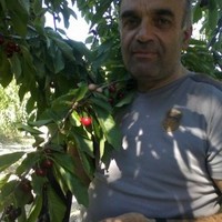 Behzat Alkan