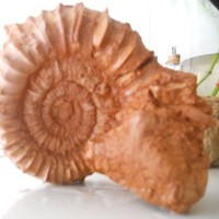 jose maria puerma yuste