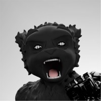 Shadow ‎