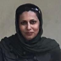 Parisa Bagheri