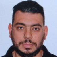 Thiago Gomes Wittmann