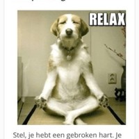 Carina Blok