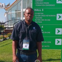 Tinevimbo Mandishonha