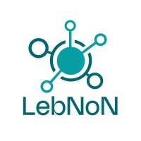 Lebanese Network Of Networks