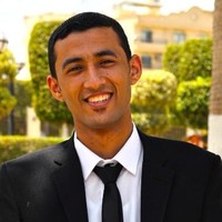 fathy saber hassan