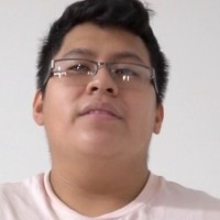 James Guallpa