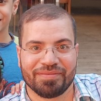 Mahmoud M. Hosni