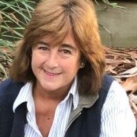 Sue Webster