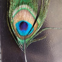 Trilok Sharma