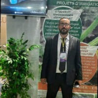ghazouani zied