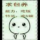 赵鹏宇