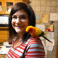 Amy Steitz