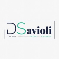 Consorzio DSavioli