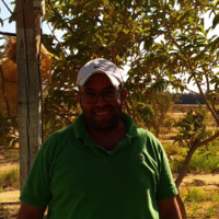 Ibrahim Ali Hassan