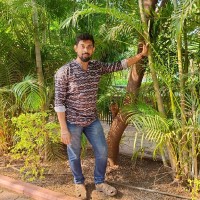 Prathmesh Palav