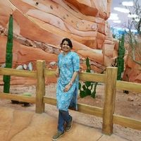 Mini Kinattukara