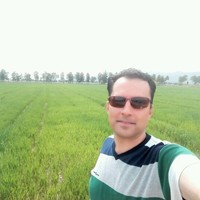 Reza Sokhandani