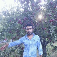 İsmail Karavar