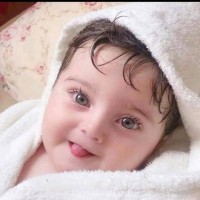 Nasr Shokr