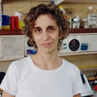 Cecilia Larocca