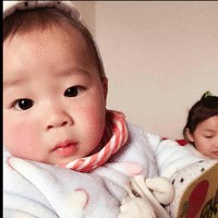高杨芳