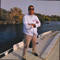 Hany Ali