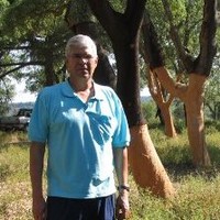 António Boaventura Moura Gonçalves