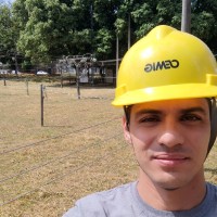 Luiz Fernando Alves