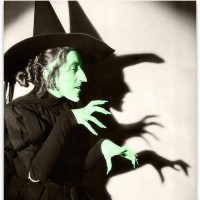 Wendy Walker