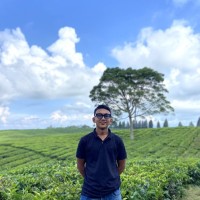 Fani Ibrahim sholeh Siregar