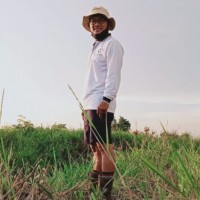 Nur Hidayat