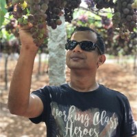 Abhilash A
