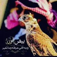 ابو صدام العكيدي