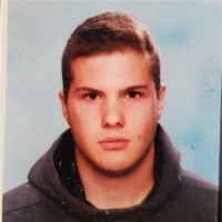 Pavle Dimitrijevic
