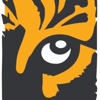 Ari Consulting Services