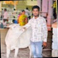 Dileep Kumar G