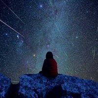 Jcarlos Rojas Castellanos