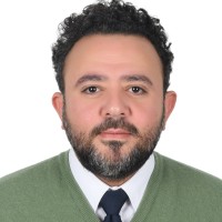 Sherif Elsaeed, Mba, Pmp, Cap, Cm, Tüv Fseng
